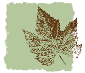 leaf stamp